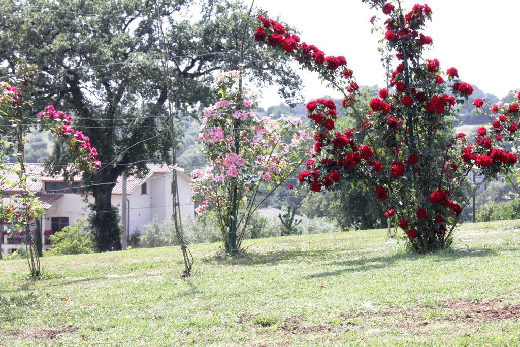 Agriturismo Nociquerceto Тарано Экстерьер фото